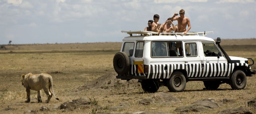 The Safari Experience