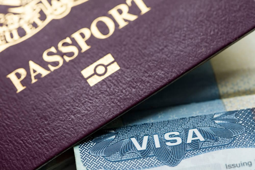  Visa and Passport Comparison