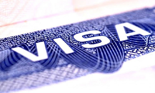 Diverse Visa Types for Various Travel Purposes