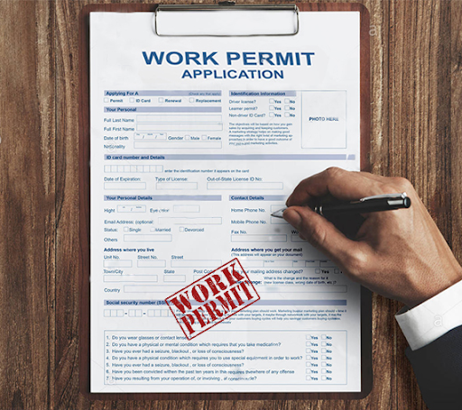 Essential Prerequisites for Legal Employment