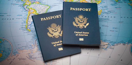 Types of Passports: Exploring Passport Varieties